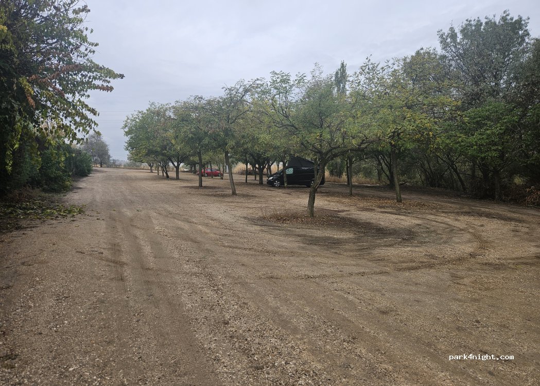 (28863) Cobeña - — foto 5