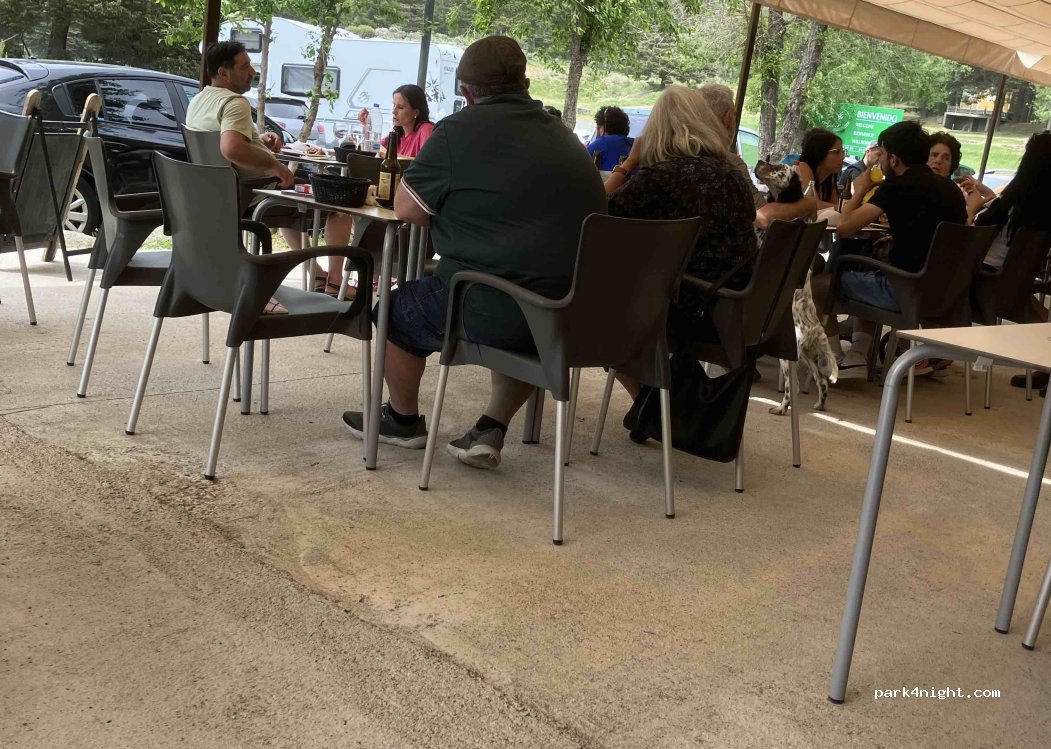 El Camping De Gredos — foto 5