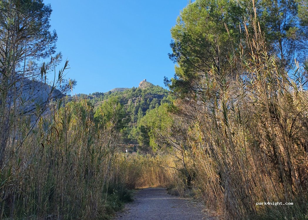 (12230) Espadilla - Unnamed Road — foto