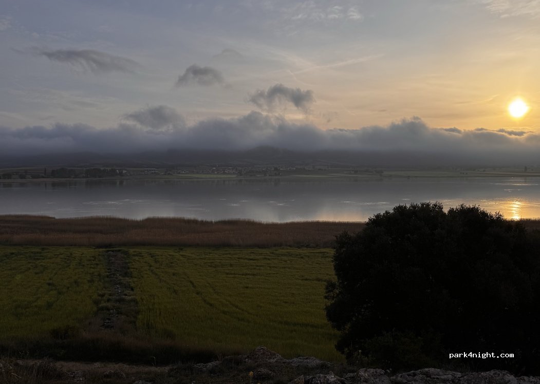 (50373) Gallocanta - Unnamed Road — foto 4