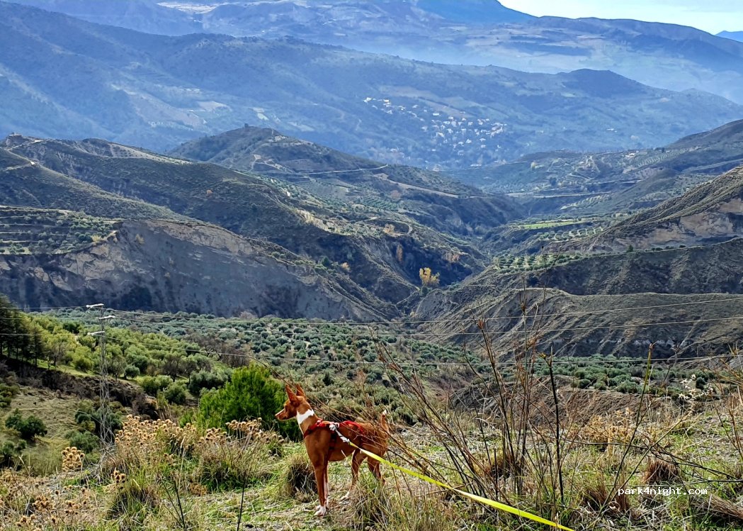 (18184) Beas de Granada - Unnamed Road — foto 2