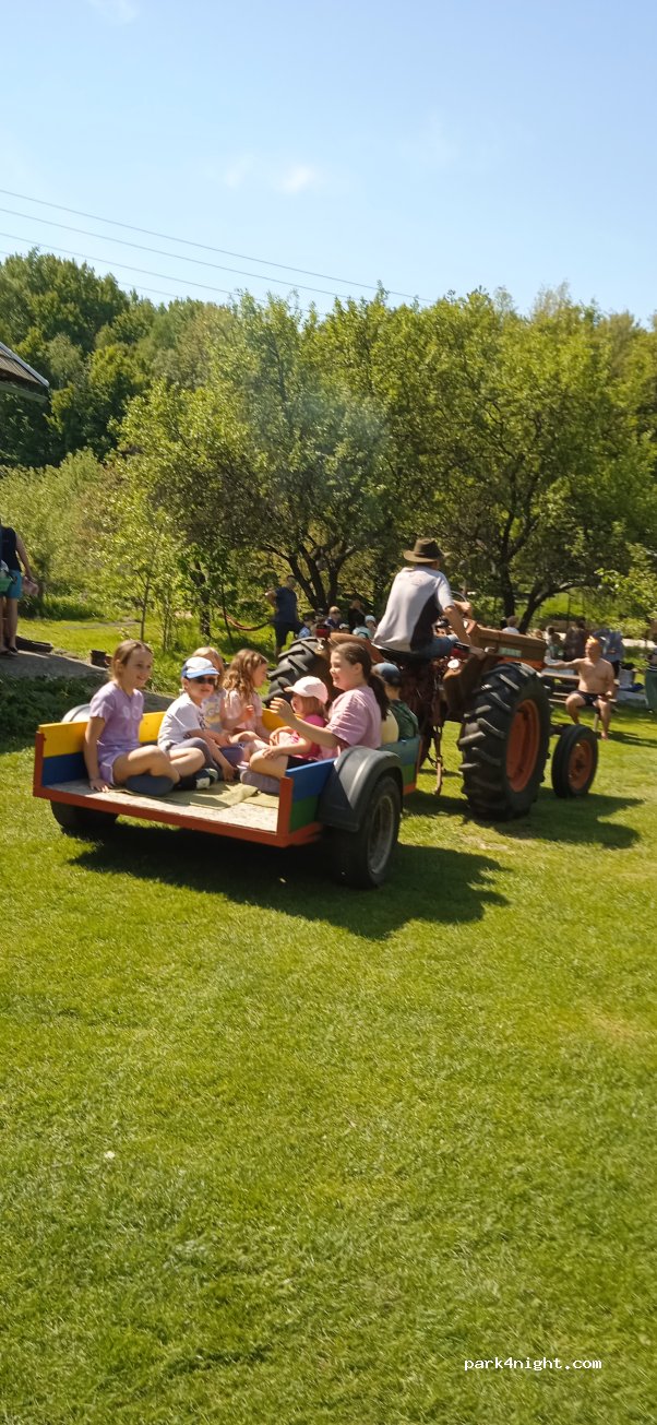 Farm & Camping Lazy — foto 3