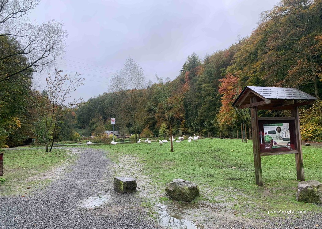 () Vise - — foto 5