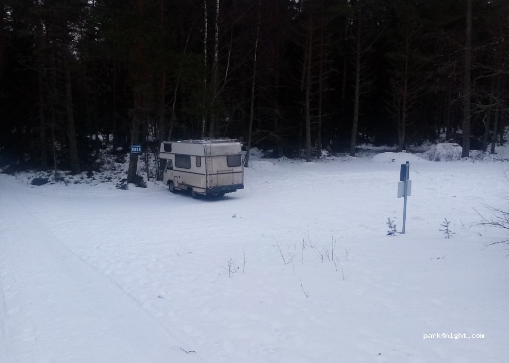 (27340) Kyhkärännokka - — foto