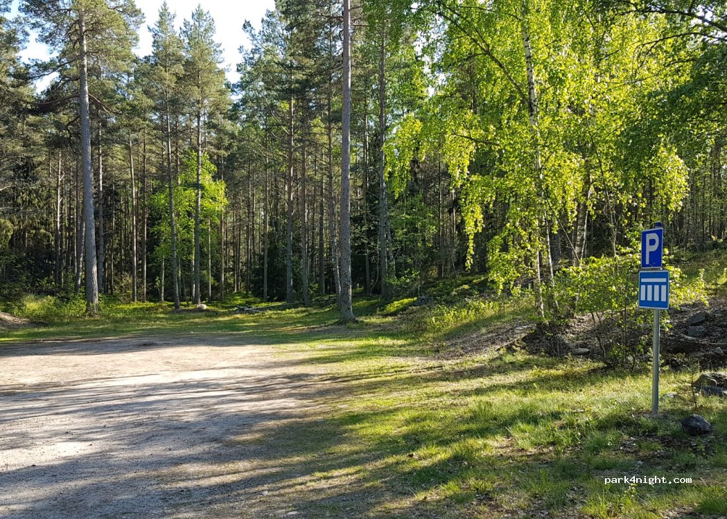 (27340) Kyhkärännokka - — foto 2