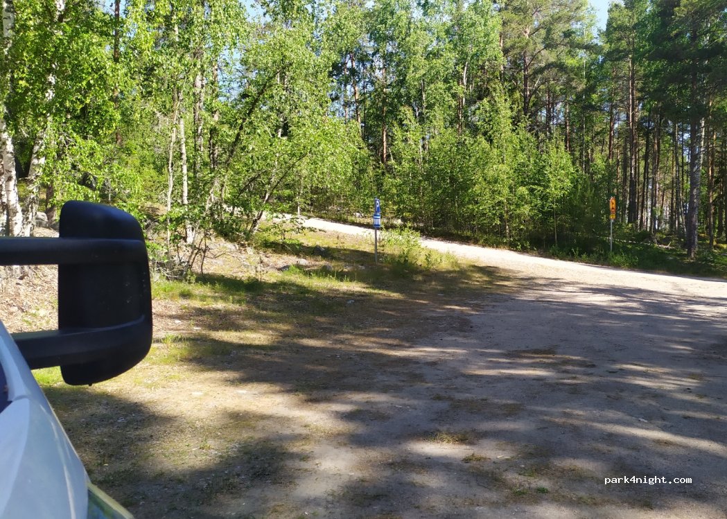 (27340) Kyhkärännokka - — foto 3