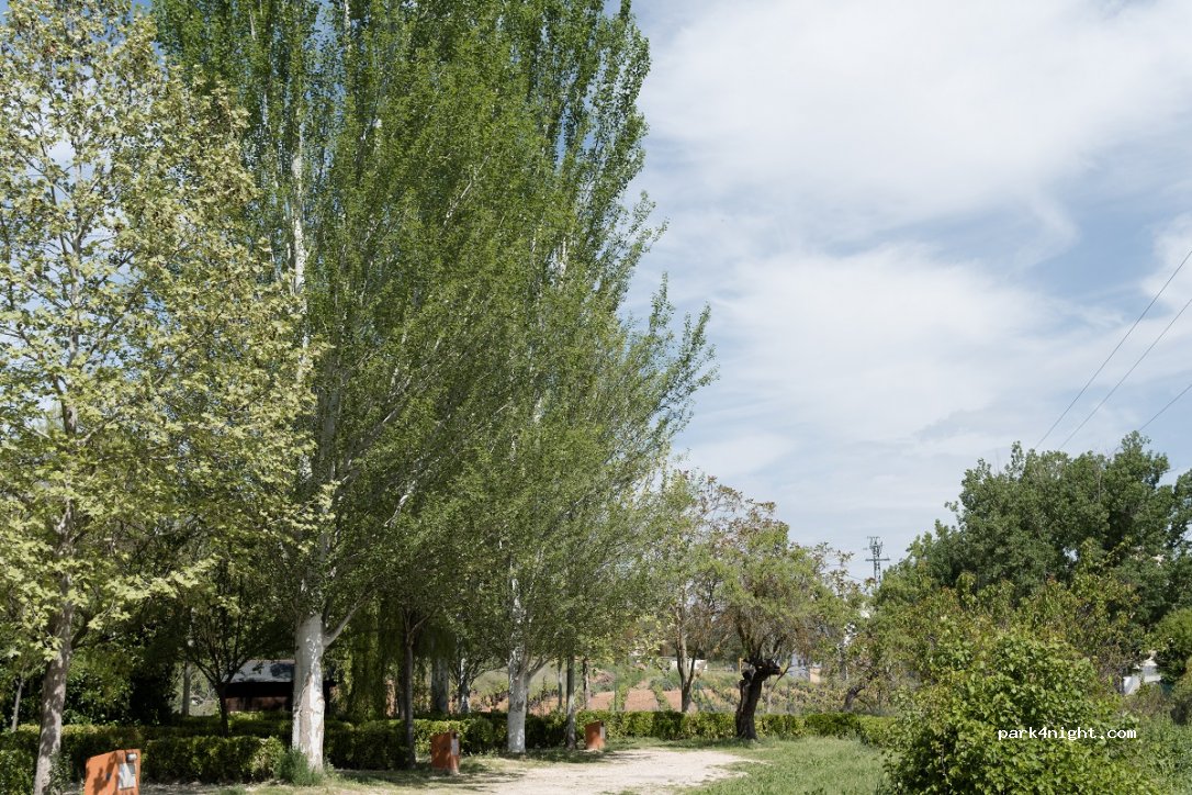 Slow Life Camping Venta del Moro — foto 3