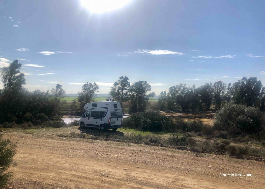 (21850) Villarrasa - Unnamed Road — foto