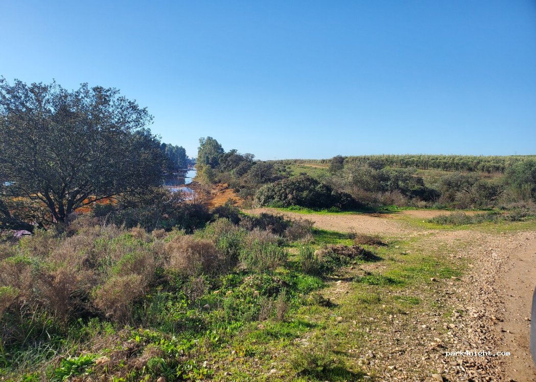 (21850) Villarrasa - Unnamed Road — foto 4