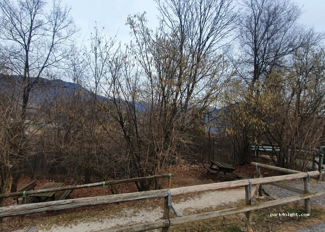 (38057) Roncogno - 128 Via Svizzera — foto 2