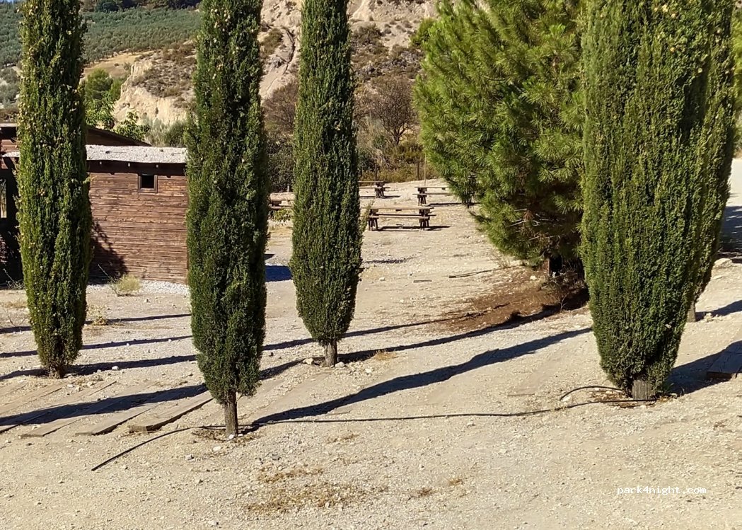 (18248) Olivares - Unnamed Road — foto 2