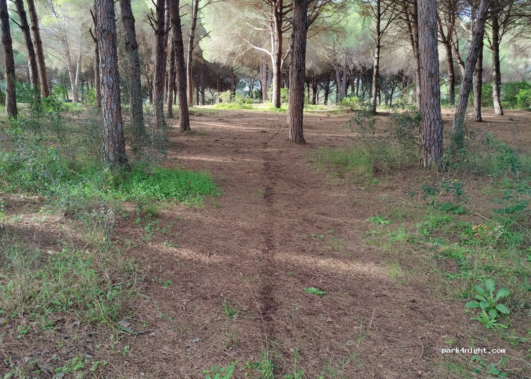 (11360) San Roque - Unnamed Road — foto