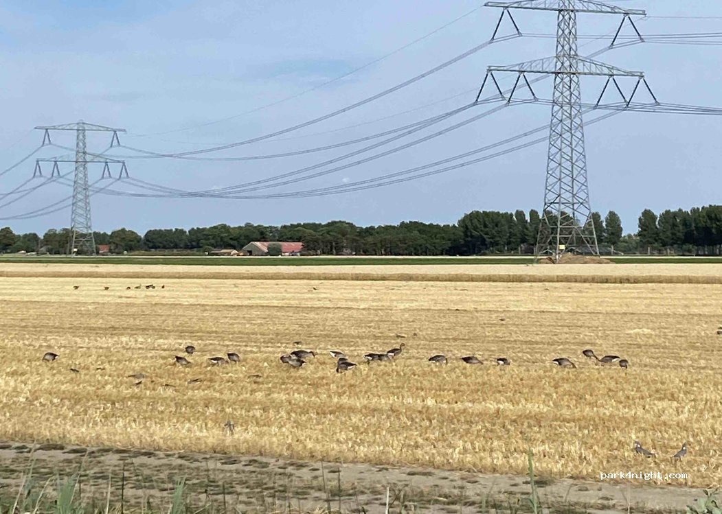 (3329 KS) Dordrecht - 2 Van Elzelingenweg — foto 2