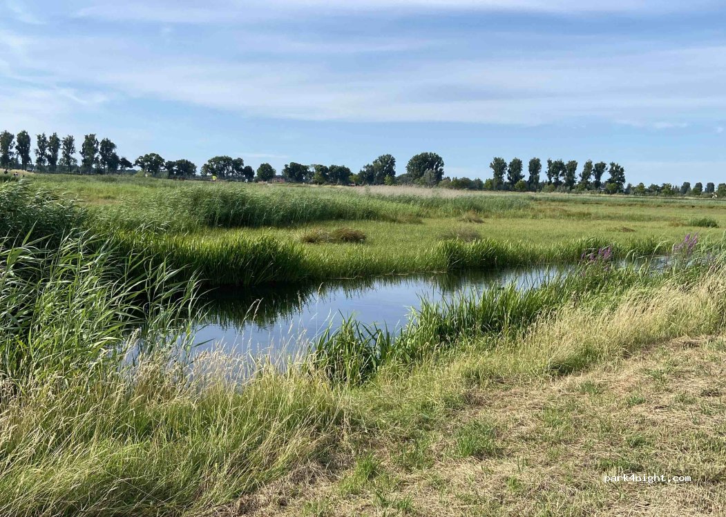 (3329 KS) Dordrecht - 2 Van Elzelingenweg — foto 3