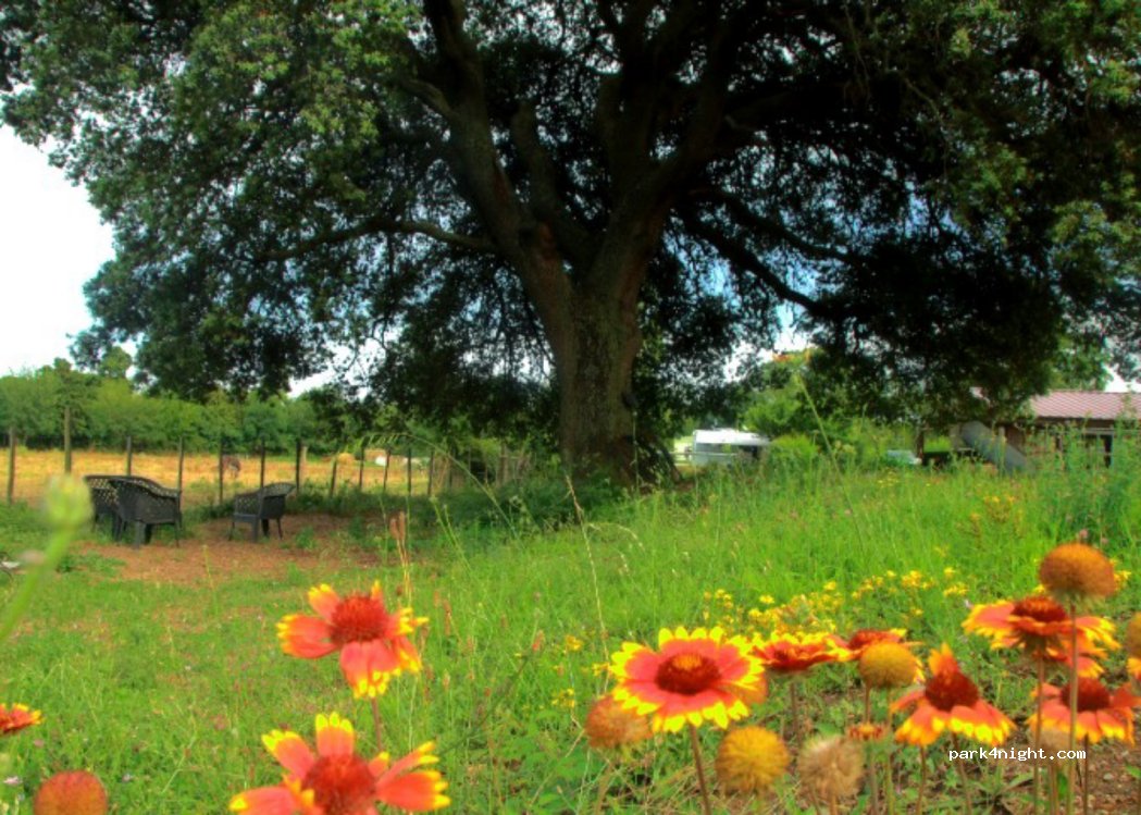 Le bosquet d'estagel — foto 4