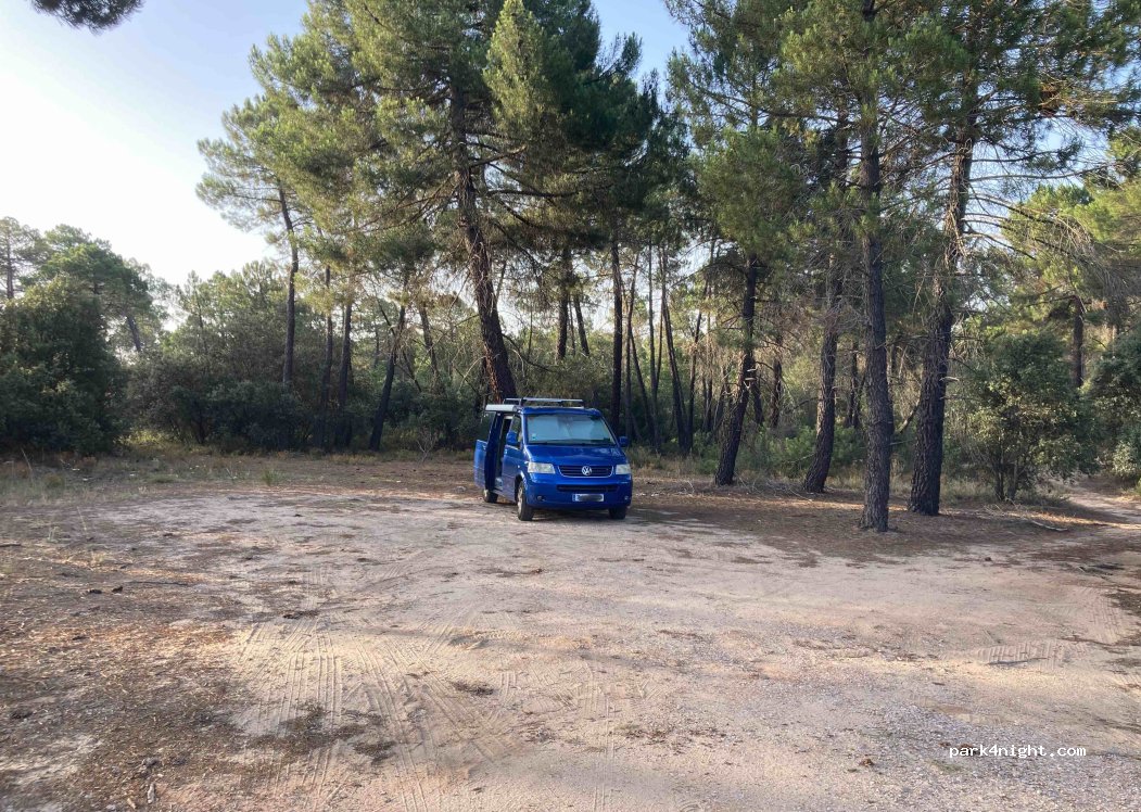 (16194) Fuentenava de Jábaga - N-400 — foto 4