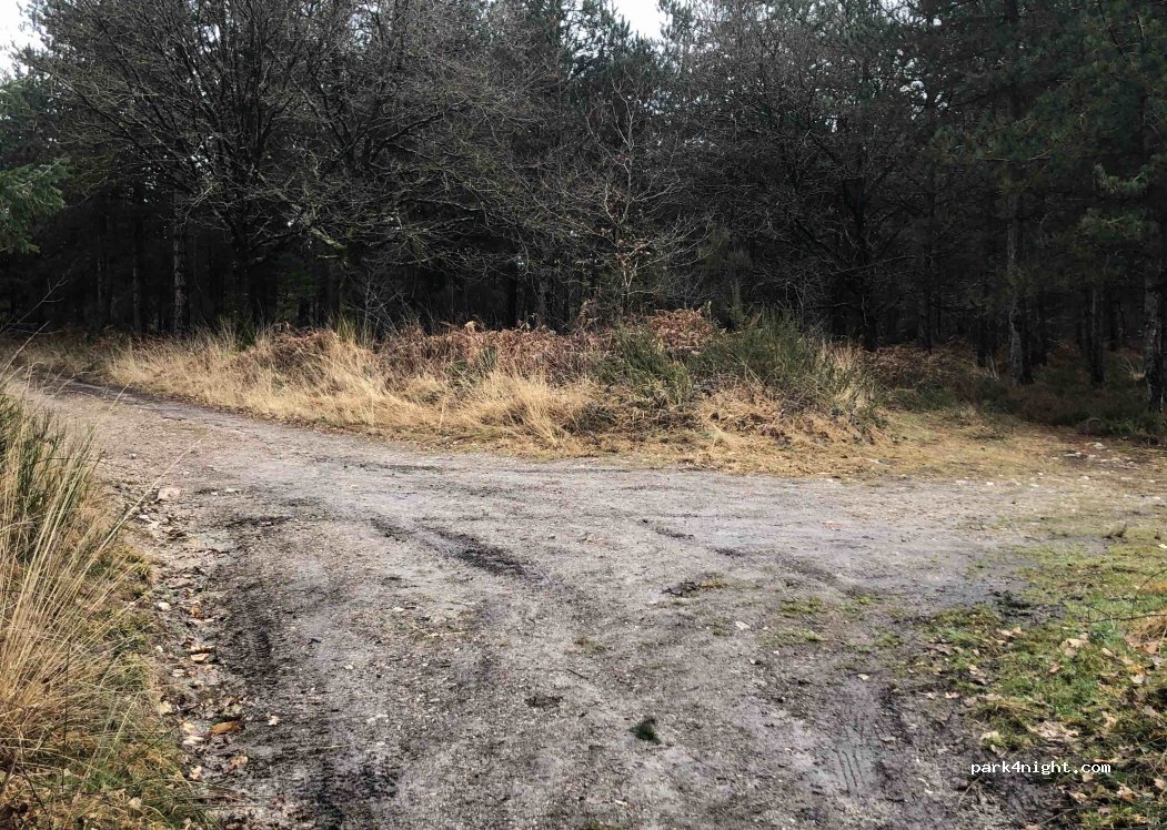 (16420) Montrollet - Haute Vienne Charente — foto