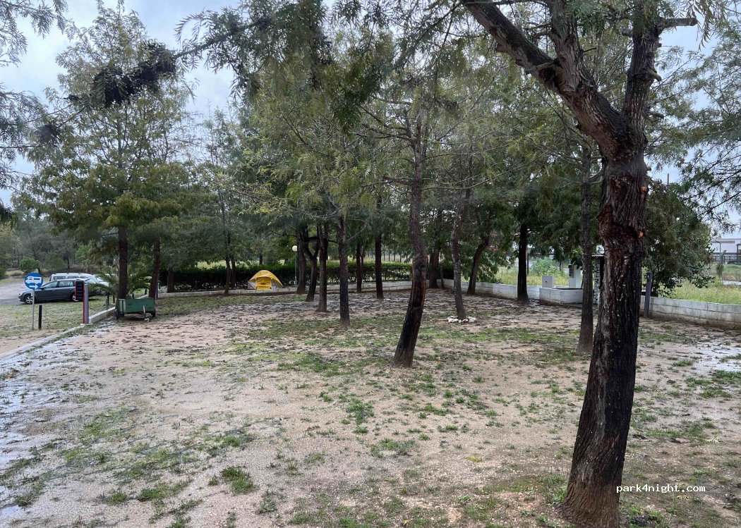 Parque de Campismo da Gâmbia — foto 3
