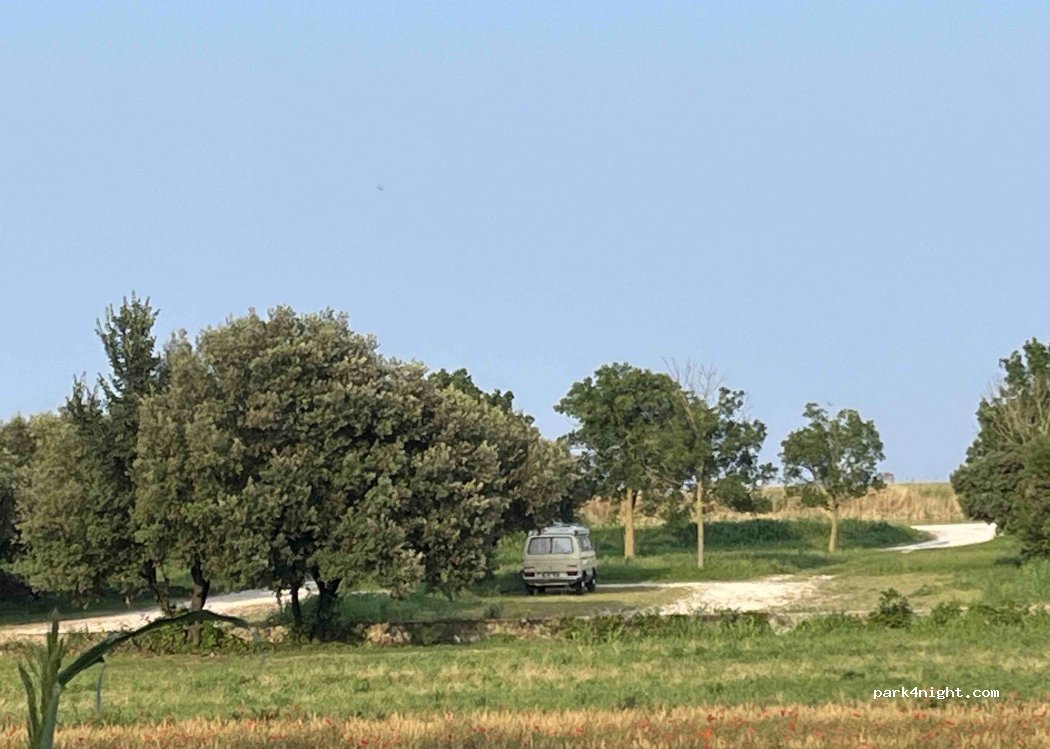 (35020) Codevigo - Via Cason Delle Sacche — foto 5