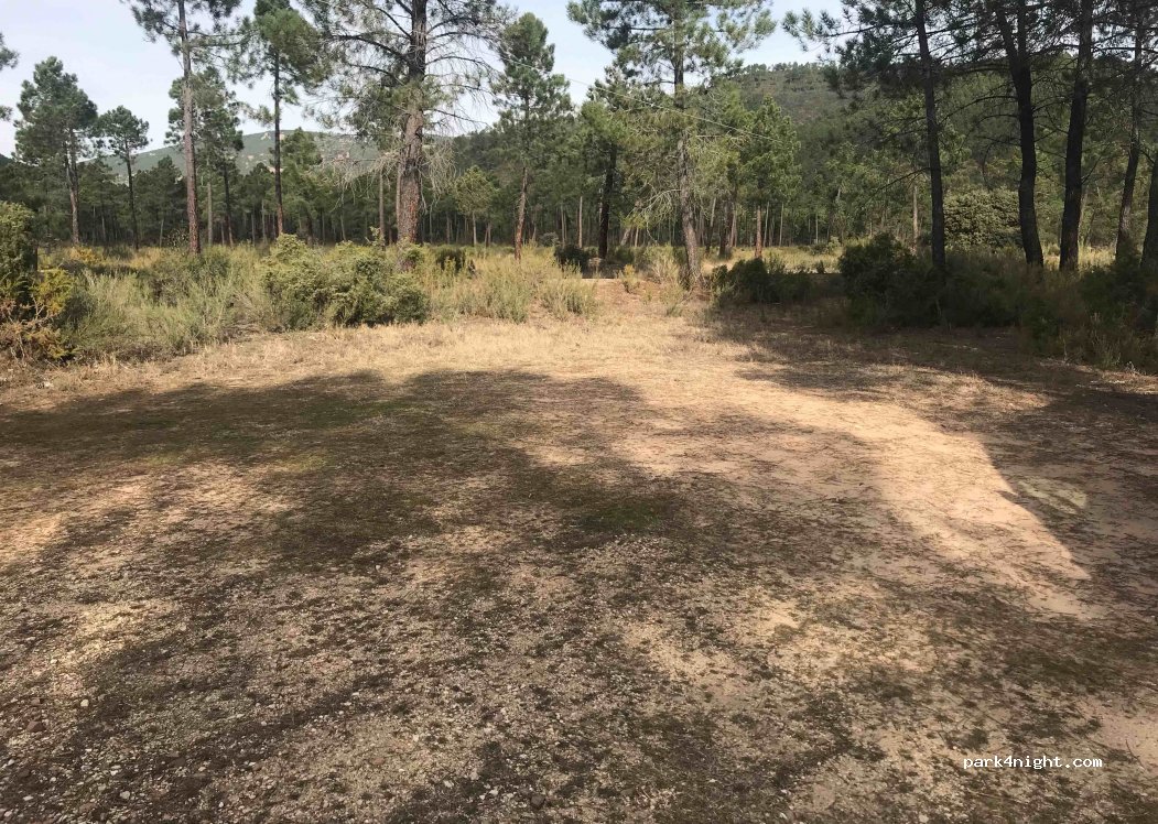 (16321) Casillas de Ranera - Unnamed Road — foto