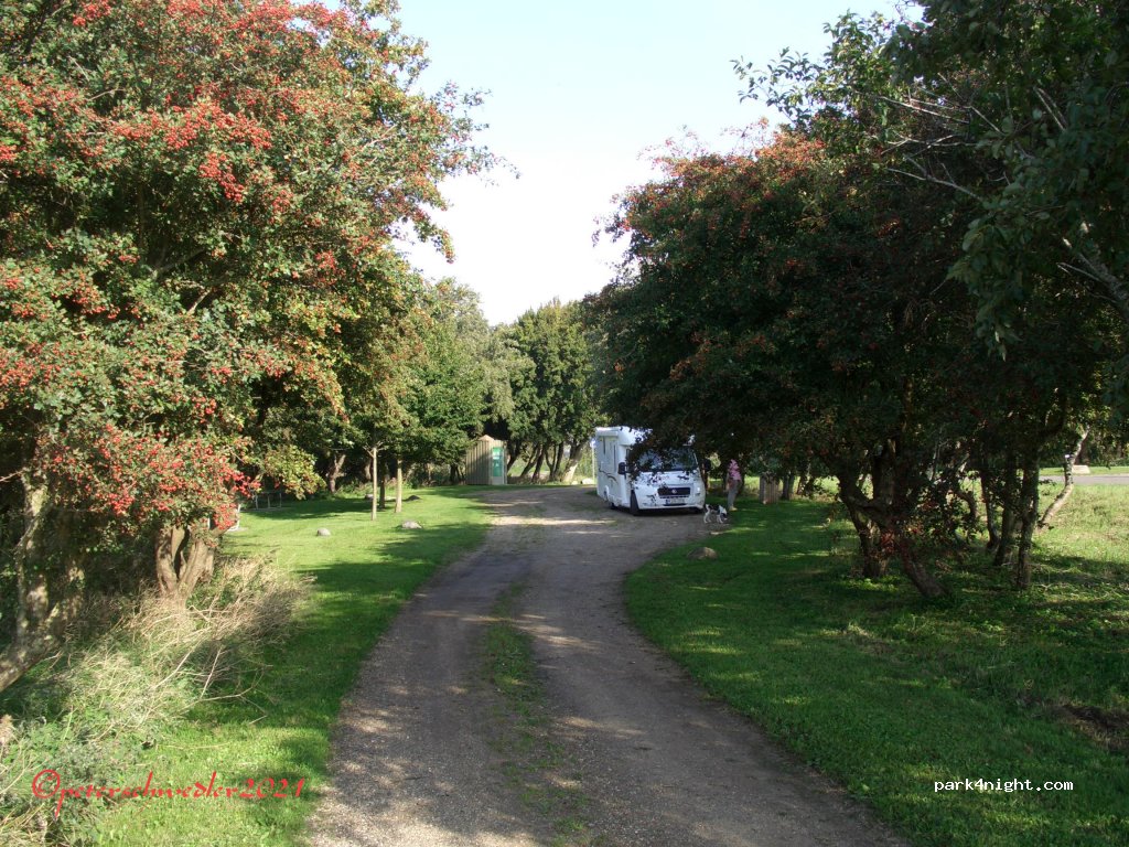 (6261) Bredebro - 23 Trøjborgvej — foto 2