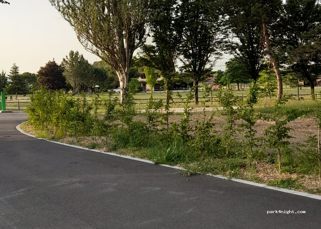(67650) Dambach-la-ville - 1 Rue du Stade — foto 3
