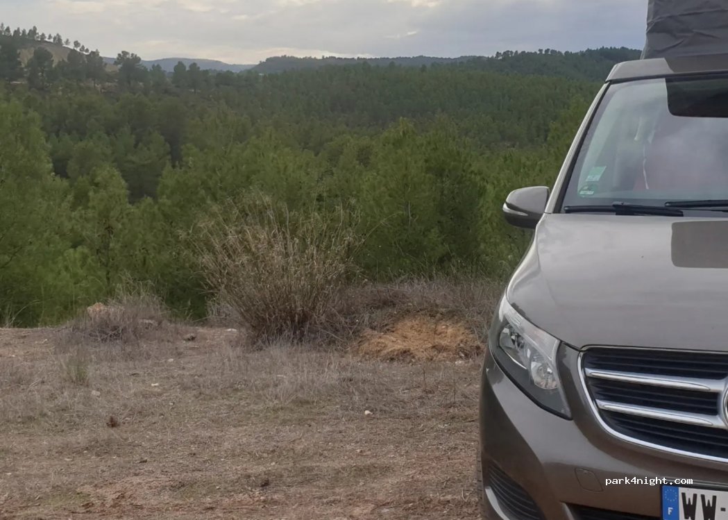 (02439) El Gallego - CM 3228 — foto