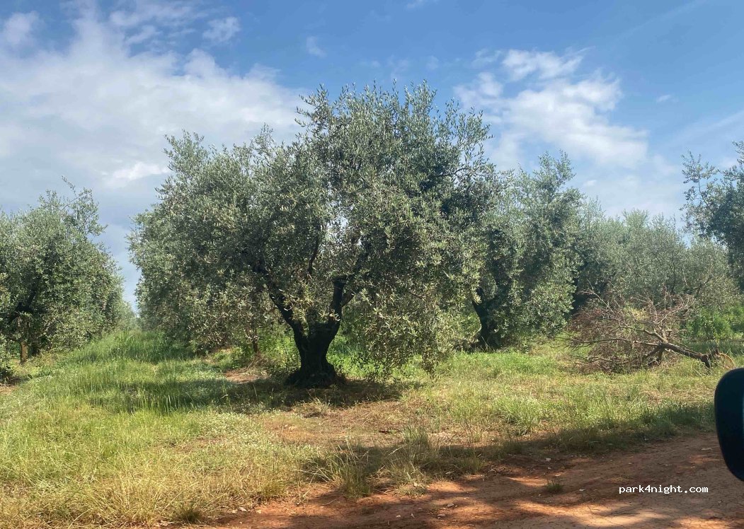 (52440) Črvar - Unnamed Road — foto 4