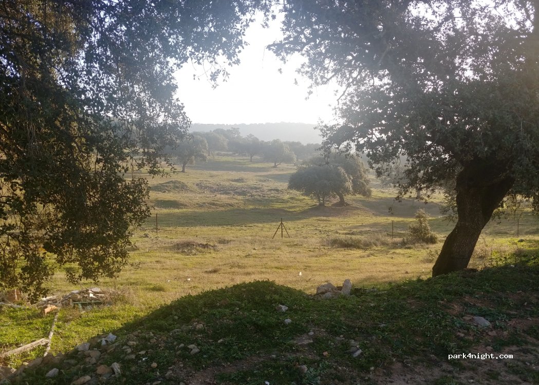 (10137) Cáceres - Unnamed Road — foto 3