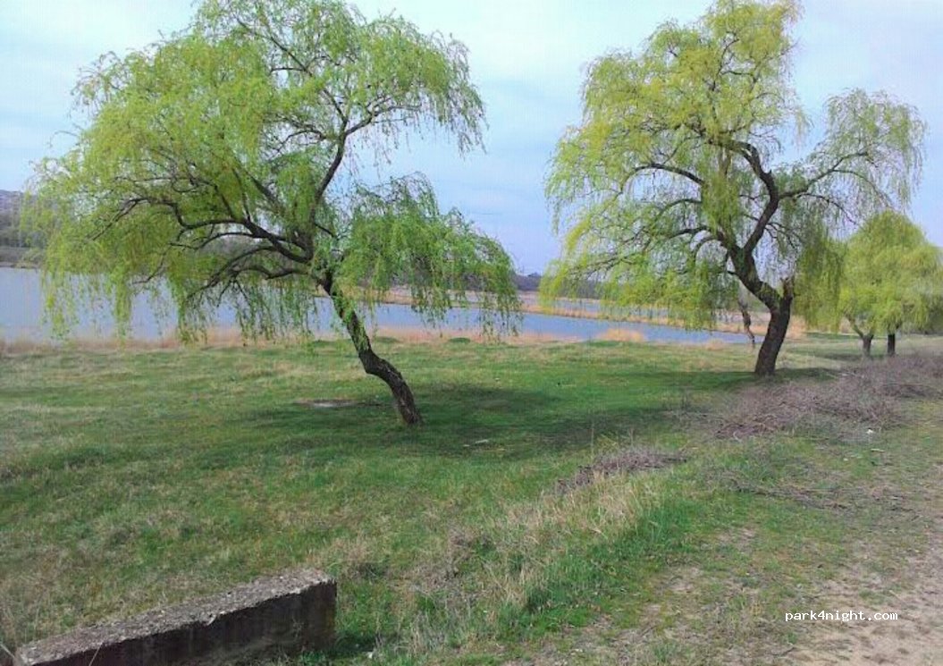 (3600) Ungheni - Unnamed Road — foto