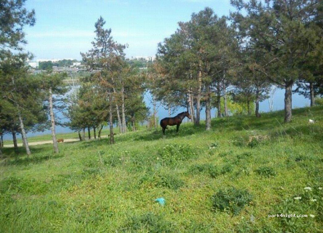 (3600) Ungheni - Unnamed Road — foto 3