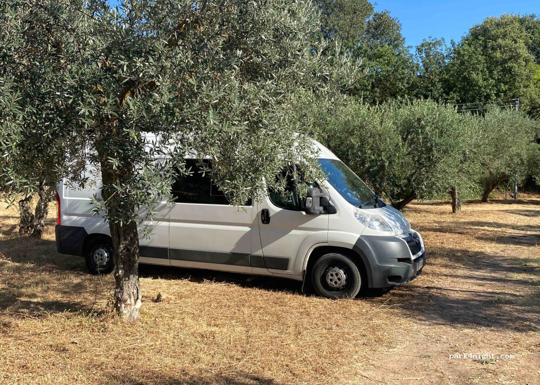 (83510) Lorgues - 443 Rue Saint-Honorat — foto 3