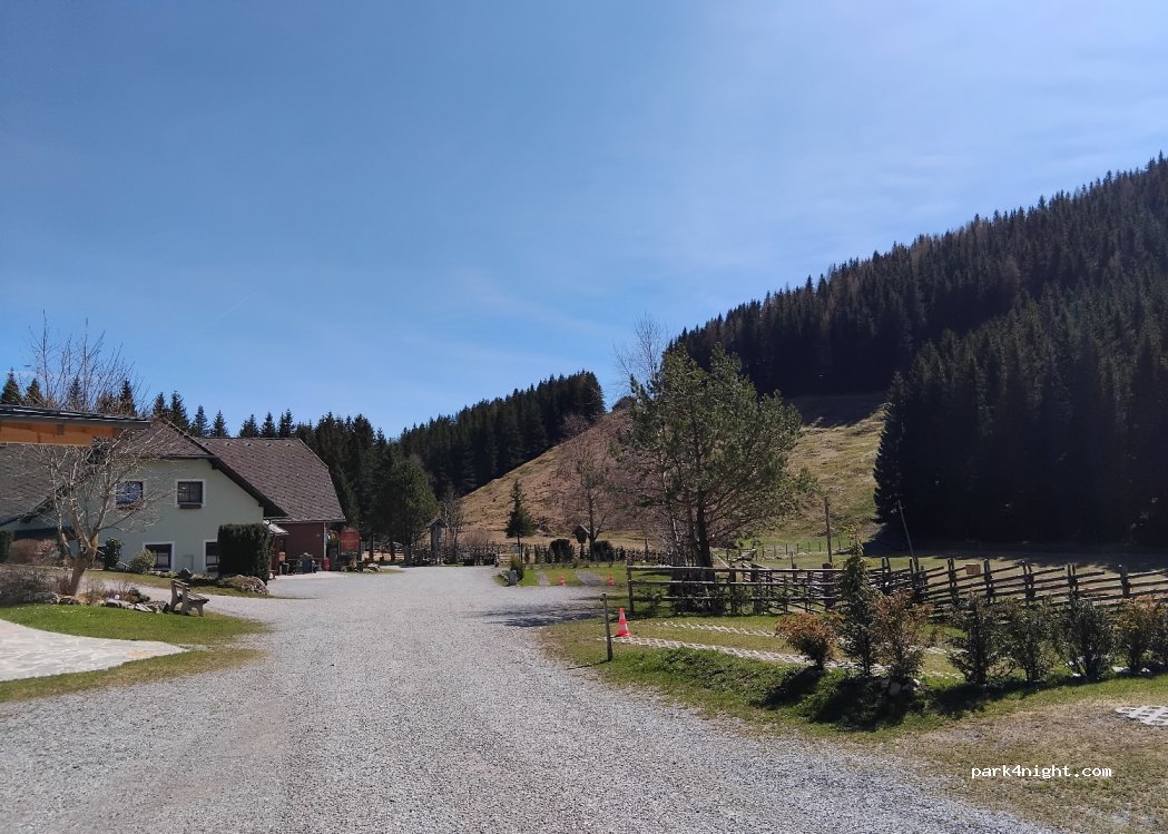 Gasthaus Holzmeister — foto 4