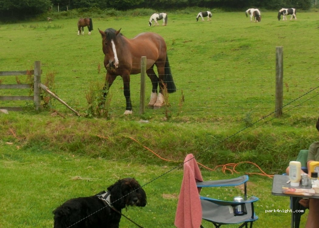 Burrowhayes Farm — foto
