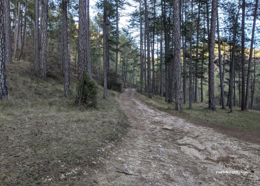 (16878) Poyatos - Unnamed Road — foto 2