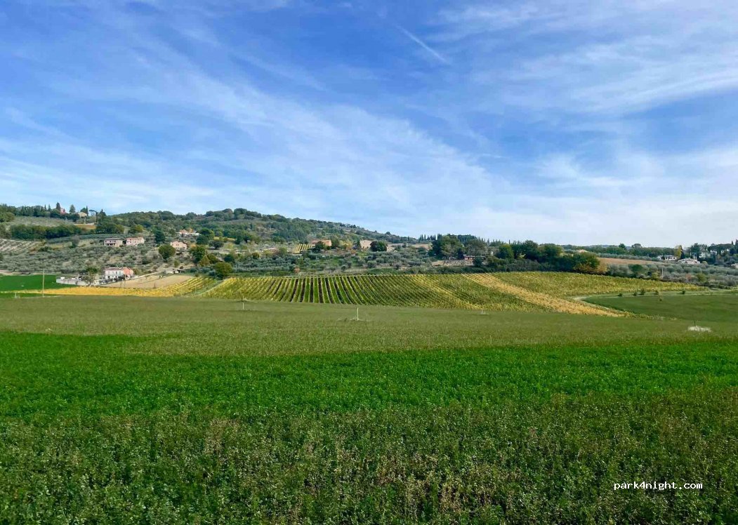 Azienda Agraria Carlo Marco Carini — foto 2