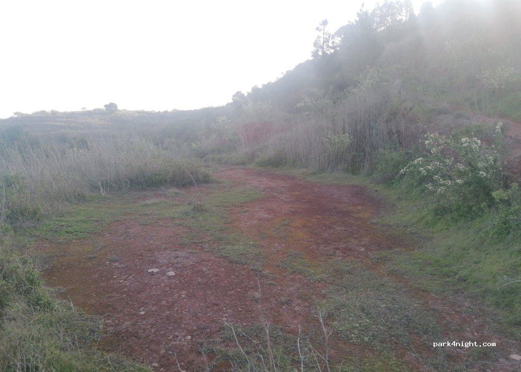 (38435) San José de Los Llanos - Unnamed Road — foto