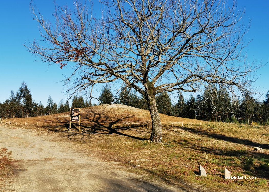 (3680) Oliveira de Frades - Unnamed Road — foto