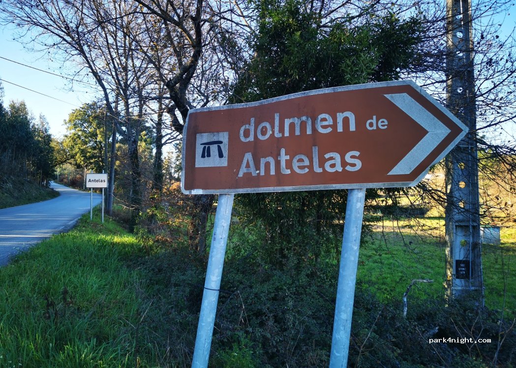 (3680) Oliveira de Frades - Unnamed Road — foto 2