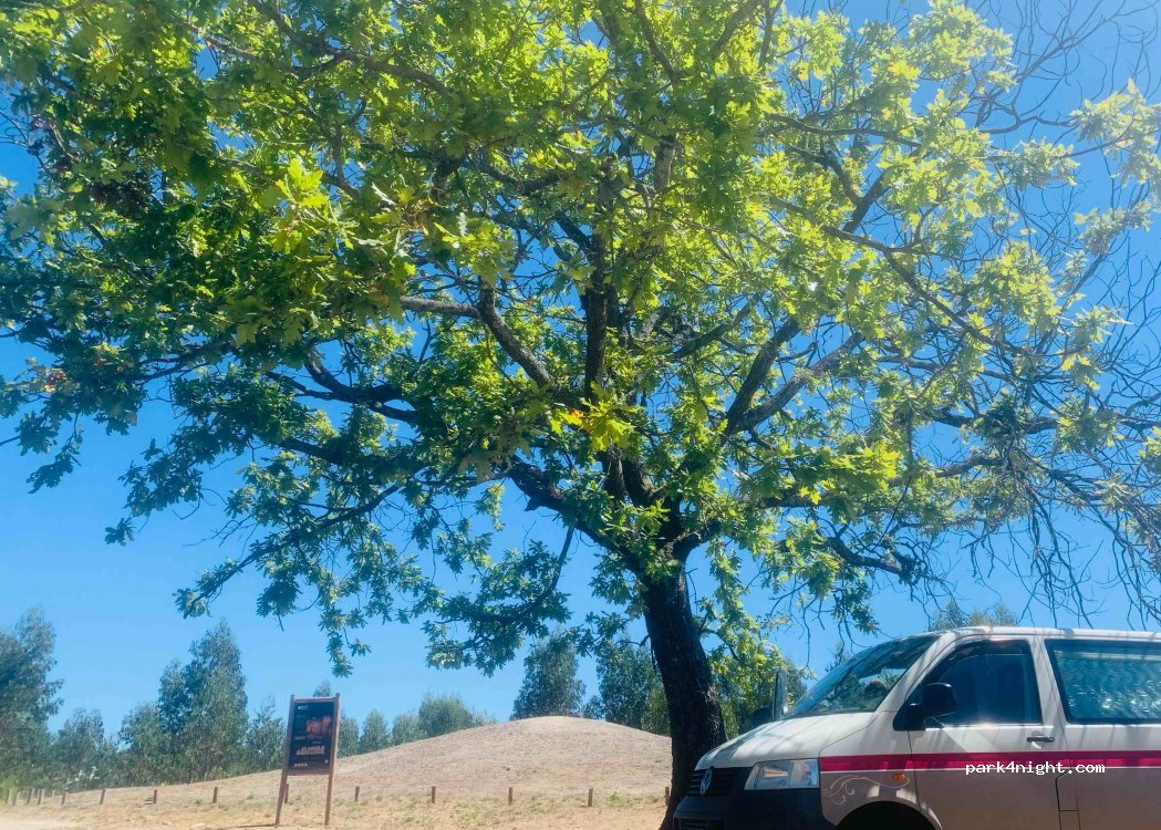 (3680) Oliveira de Frades - Unnamed Road — foto 3
