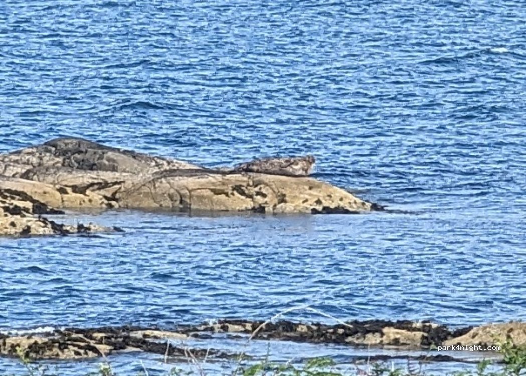 (PA29 6XW) Tarbert - A83 — foto 4