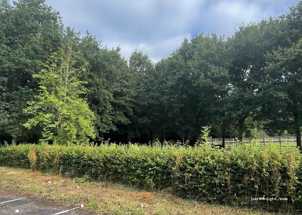 () Limerick - Demesne — foto 5