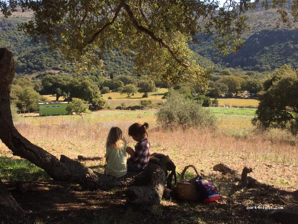 Mattagiana nature retreat — foto 3