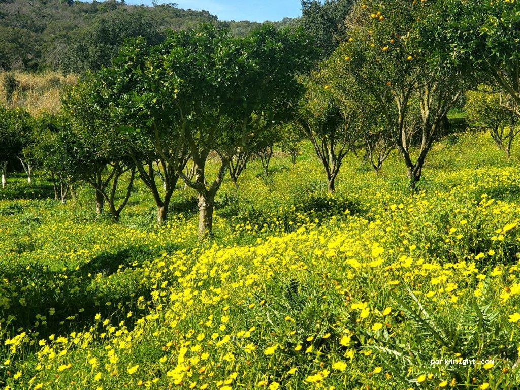 Mattagiana nature retreat — foto 5
