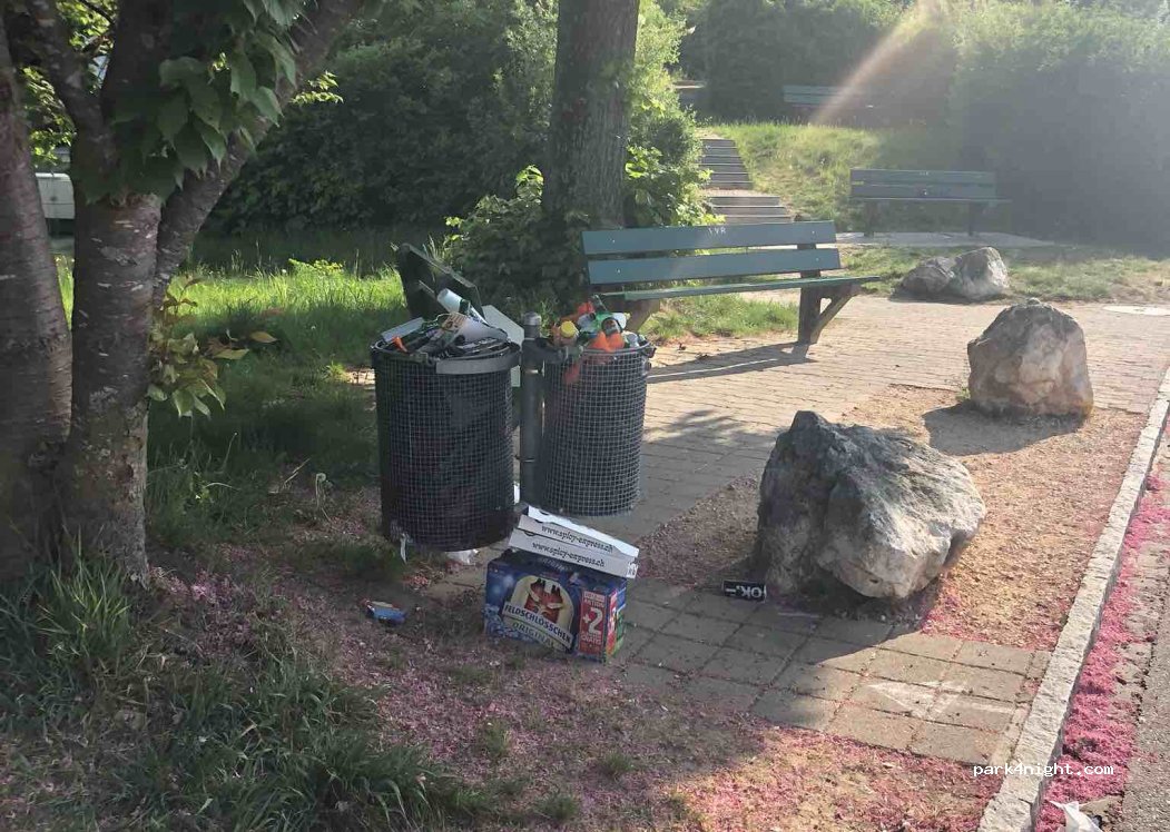 (4153) Reinach - 55 Hollenweg — foto 3