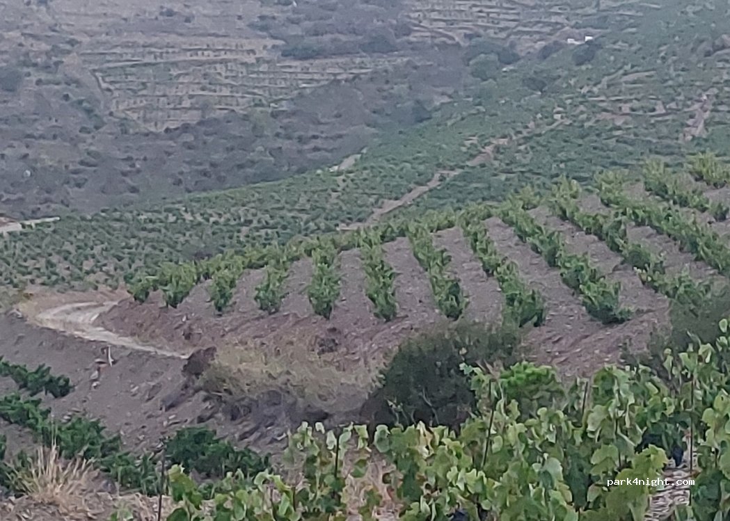 (66650) Banyuls-sur-Mer - Unnamed Road — foto 2