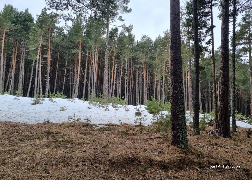 (66210) Formiguères - Unnamed Road — foto 2