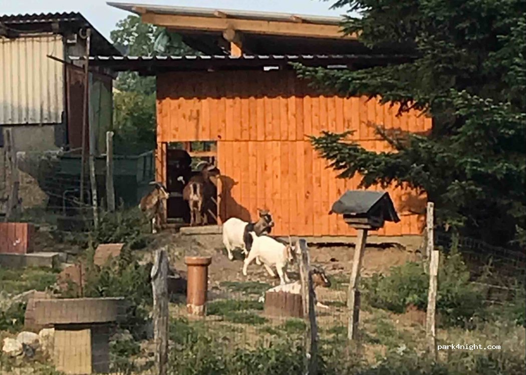 Klütinger Alm — foto 3