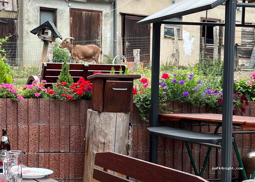 Klütinger Alm — foto 4