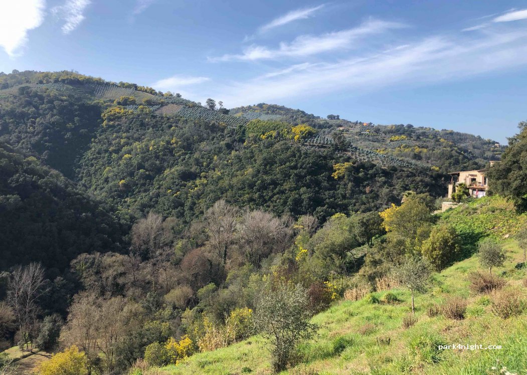 (06810) Auribeau-sur-Siagne - 184 Chemin de Sous/barri — foto 2